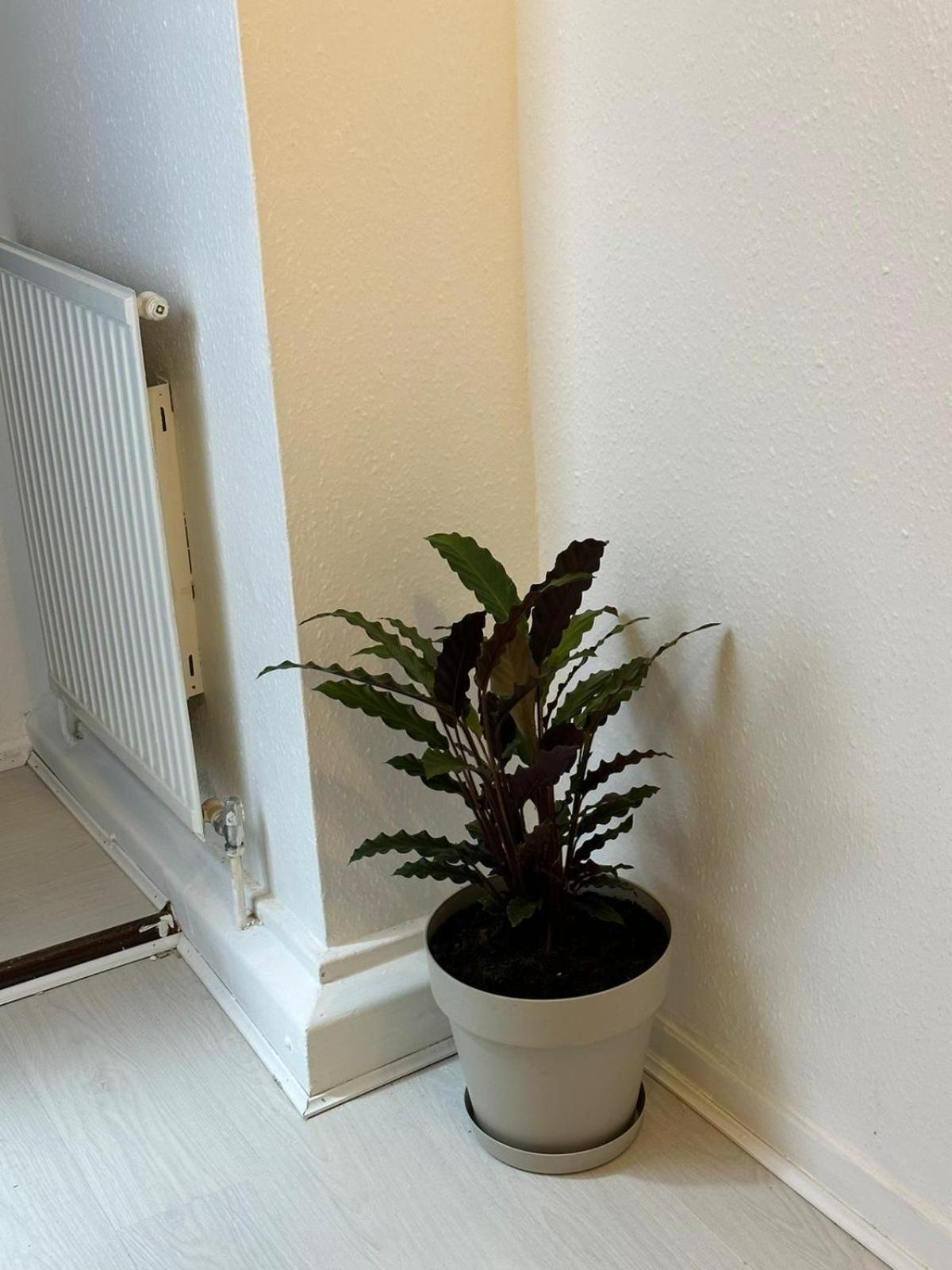 3 Bedroom King Cross Station City Centre Лондон Экстерьер фото